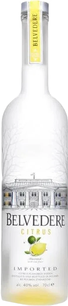 citurus.png Belvedere Citrus Vodka 1L - Image 1