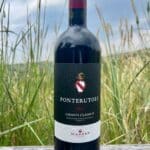 Fonterutoli Chianti Classico 2021 75 Cl