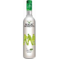 Magic Moment Green Apple Vodka 75cl by magic moment - Compare prices in UAE