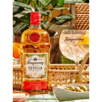 Tanqueray Sevilla 1L by tanqueray - Compare prices in UAE