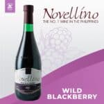 Novellino Wild Blackberry Red Wine 75cl