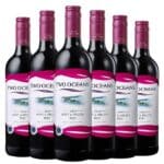 Two Oceans Soft and Fruity Red Wine 75cl