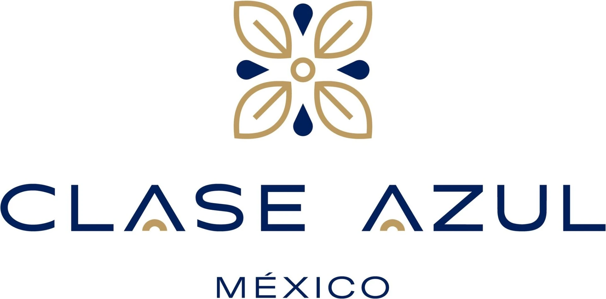 Clase Azul