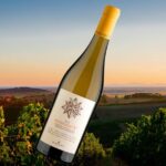 Belgvardo Toscana Doc -75cl