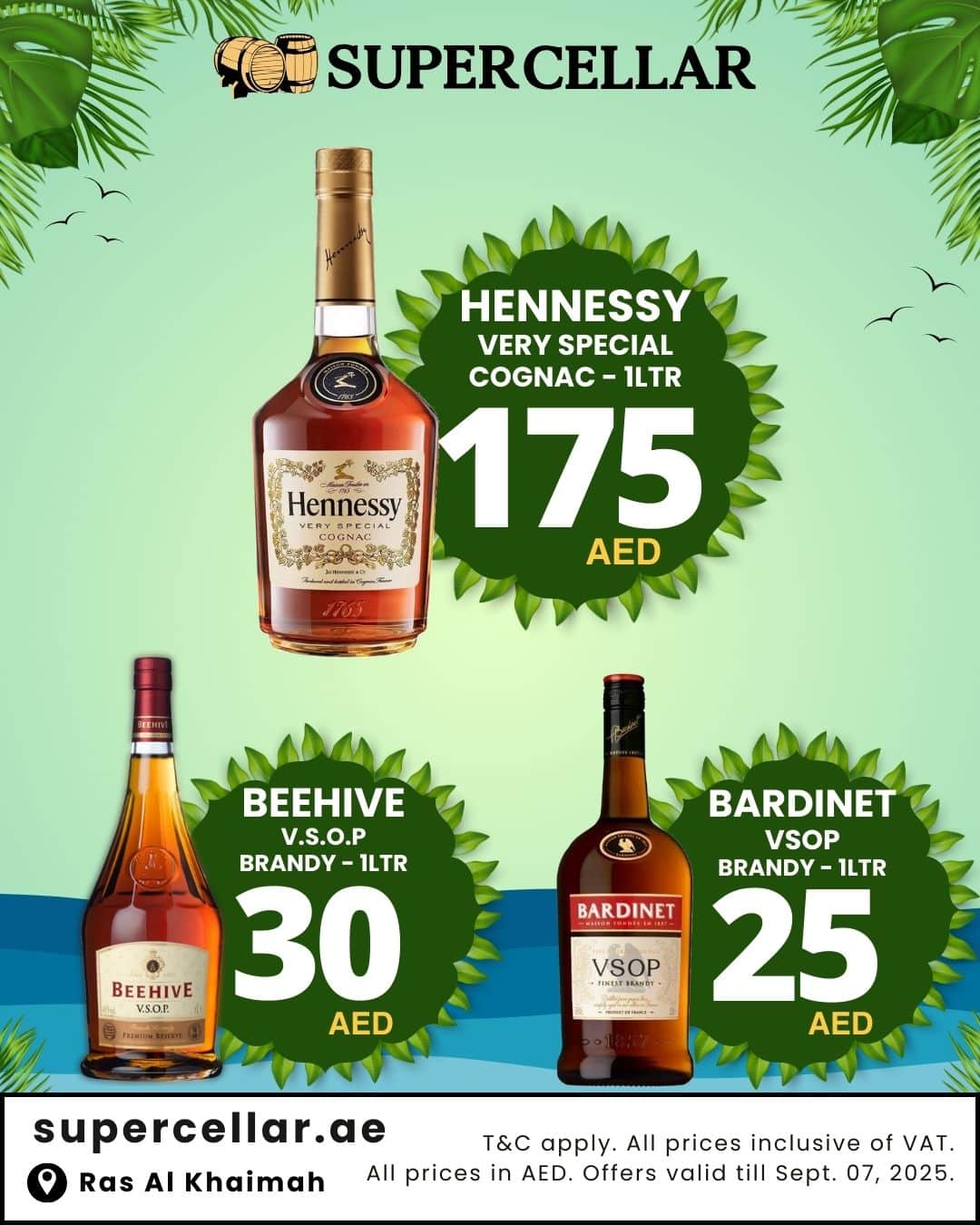WhatsApp Image 2025 09 02 at 18.07.07 1 - Latest Offers