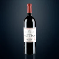 Chateau Lynch Bages Pauillac 2015 75cl - Compare prices in UAE