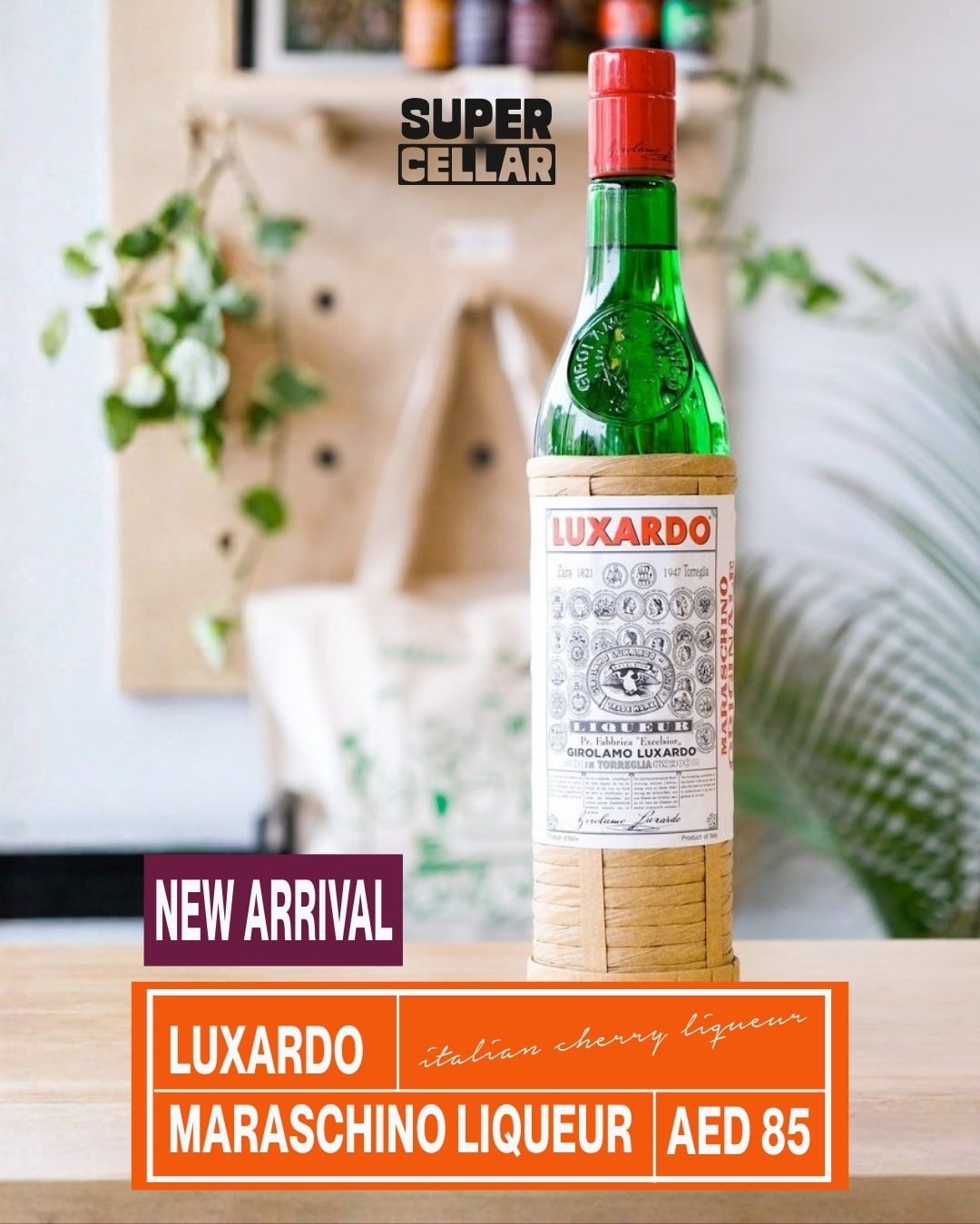 Latest Offers 11 maraschino - Latest Offers