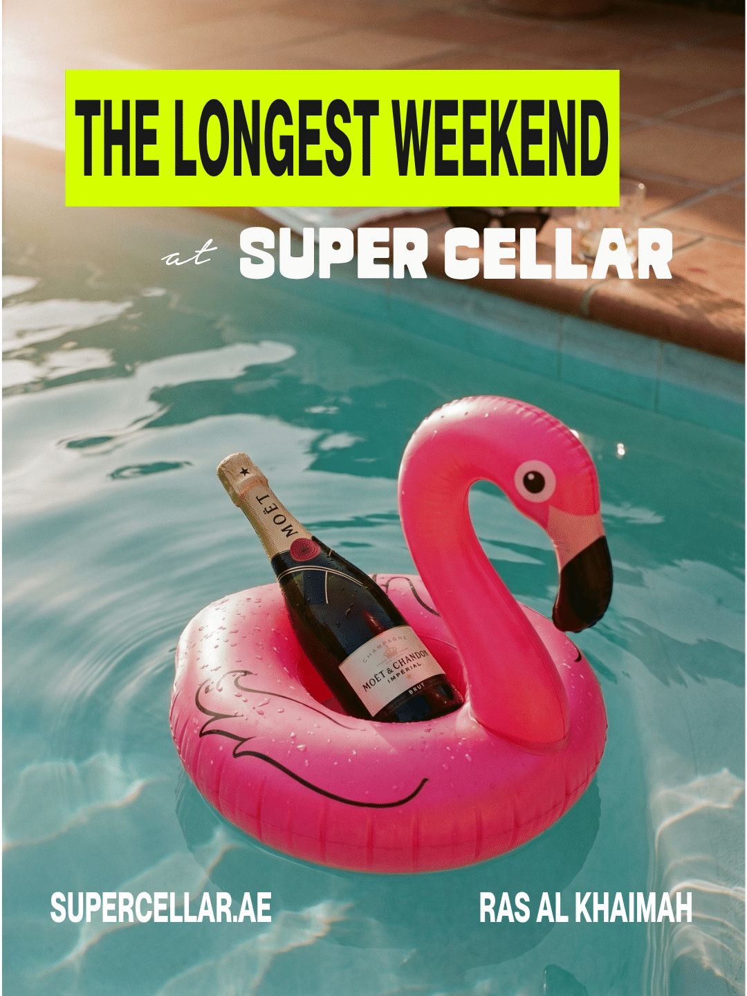 1 2 - Latest Offers & DEALS