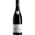 Domaine Borgeot, Chassagne-Montrachet 1er Cru Clos Saint-Jean Rouge 2022 75cl